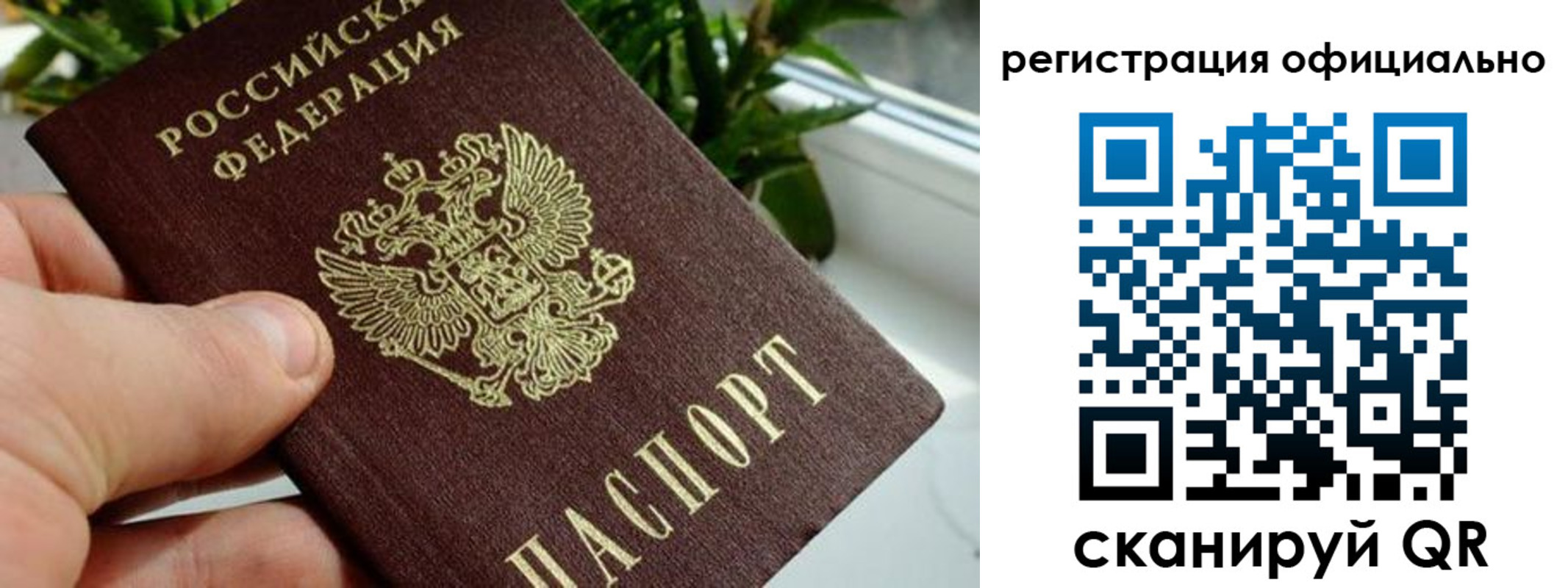 прописка законно в Таганроге